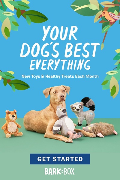 A clean, bright ad layout featuring a dog surrounded by plush toys to highlight a monthly subscription service for pet supplies.