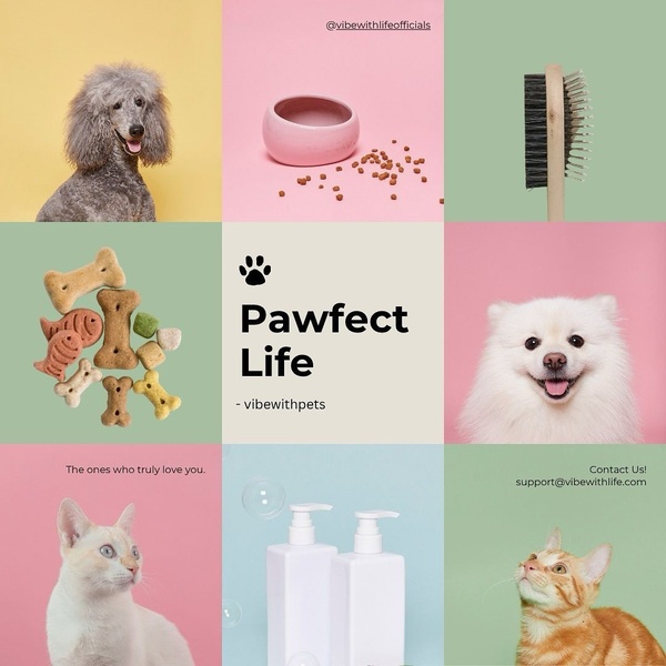 Pawfect Life Grid Layout