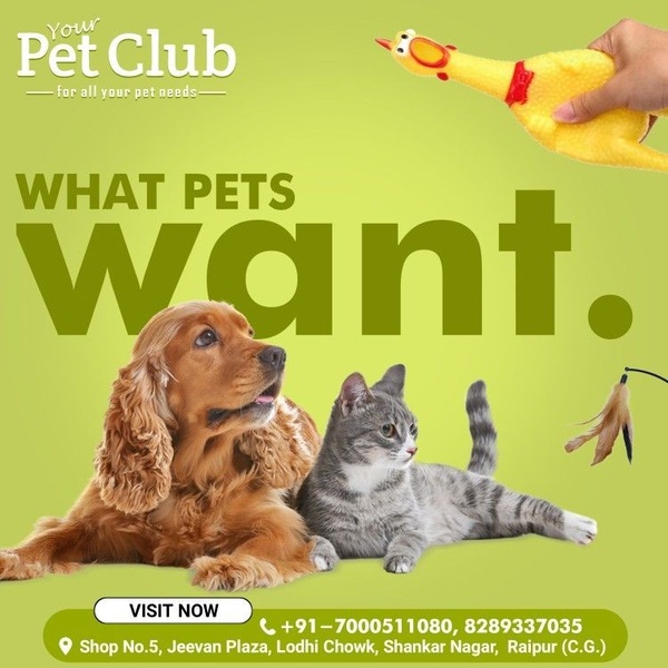 A square-format static ad showcasing a dog and cat alongside a squeaky toy, effectively targeting pet owners with a simple, direct question.