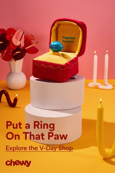 This creative features a plush toy ring box staged like a proposal, using romantic imagery and a pun-based headline to appeal to pet owners.