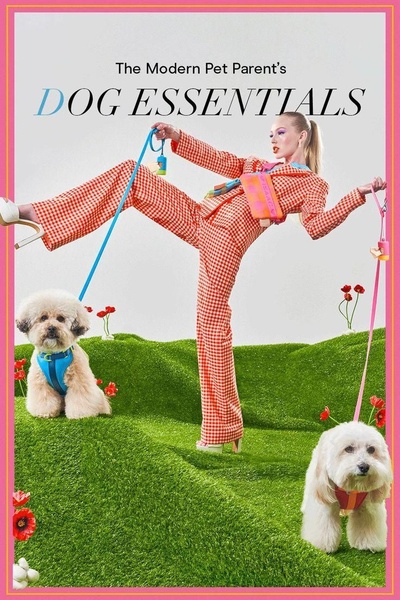 A high-fashion, editorial-style creative featuring a pet owner posing dynamically with two dogs equipped with vibrant blue and pink matching leash and harness sets.