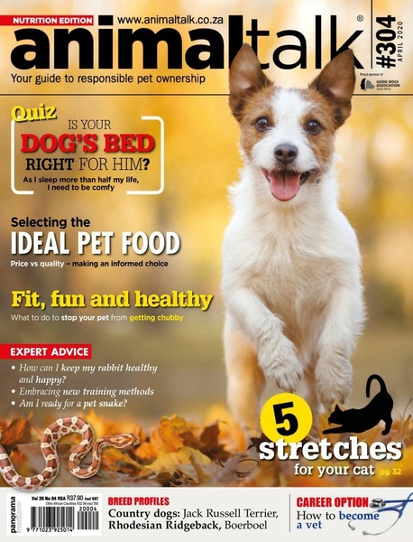 A magazine cover featuring a high-quality photo of a dog and multiple text-based article teasers to establish authority.