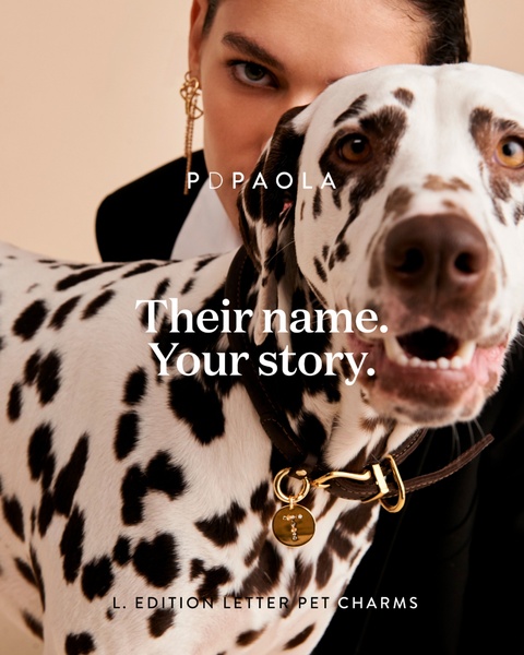 A close-up shot of a dalmatian dog wearing a personalized letter charm on its collar, with a person partially visible in the background to emphasize the human-pet bond.