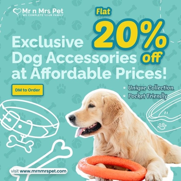 Dog Accessories 20% Off Offer Ad