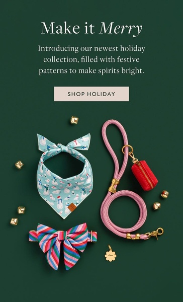 A festive flat-lay display of a patterned pet bandana, a rope leash, and a small accessory pouch arranged with gold bells.