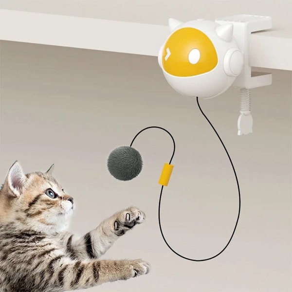 A clean, studio-lit shot of an interactive cat toy clamped to a shelf, capturing a kitten's immediate interest in the moving pom-pom.