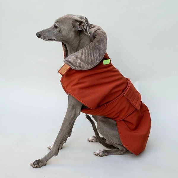 dog coat, winter dog jacket, dog sweater, pet outerwear, dog clothing, new arrival, minimalist, calm, trustworthy, neutral, brown