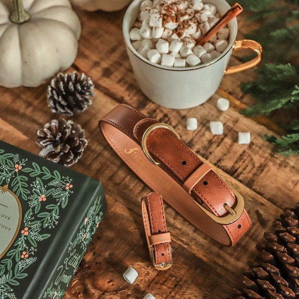 A high-quality leather dog collar placed on a wooden surface with a hot cocoa mug, pinecones, and seasonal decor, creating a warm, cozy aesthetic.