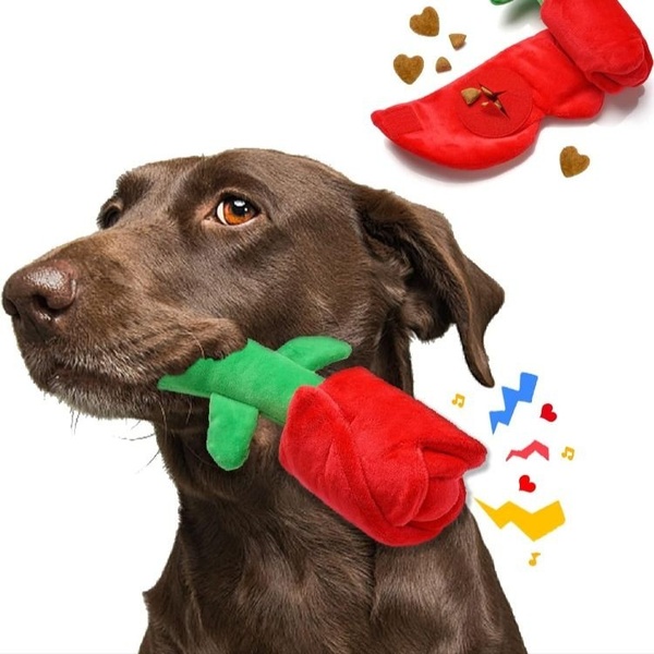 A high-contrast 1:1 image featuring a dog holding a rose-shaped plush toy with floating treat icons to demonstrate the product's interactive, food-dispensing functionality.