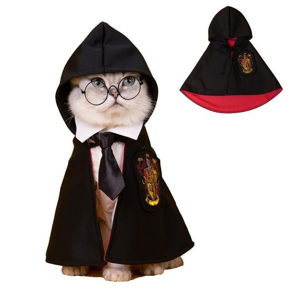 A high-quality studio shot of a cat dressed in a wizard-themed robe with round glasses, featuring a detached cape view to highlight product details.