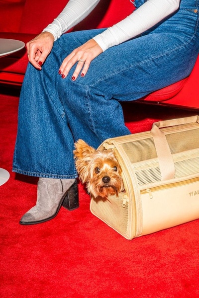A close-up, high-fashion style shot featuring a small dog inside a tan, mesh-sided pet carrier, held by a person wearing denim.