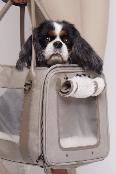 This ad creative uses a clean, neutral-toned studio environment to showcase a premium pet carrier with a Cavalier King Charles Spaniel inside.