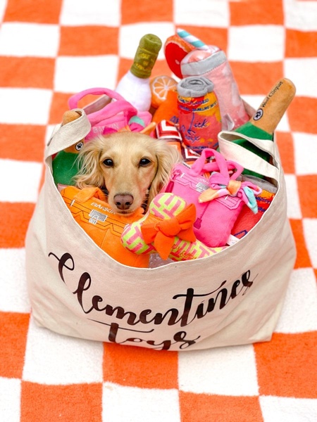 A high-angle, lifestyle-focused shot featuring a dachshund sitting inside a branded canvas tote bag overflowing with colorful, branded dog toys.
