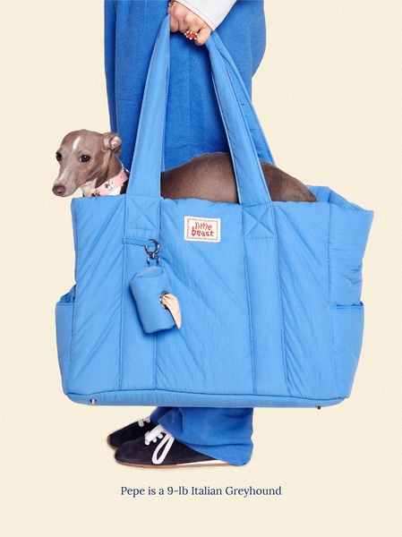 A clean, studio-lit photograph showcasing an Italian Greyhound inside a vibrant blue quilted pet carrier to demonstrate size and comfort.