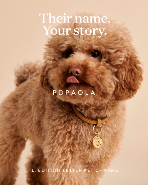A close-up, high-warmth studio shot of a puppy wearing a personalized letter charm on its collar, emphasizing emotional connection.