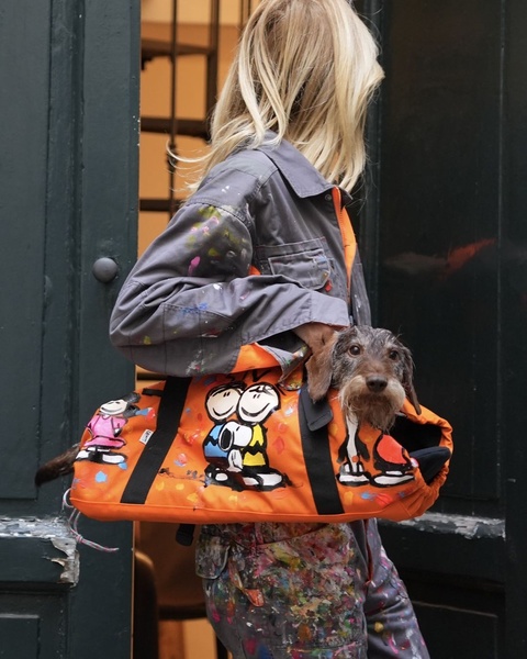 A high-fashion street photography shot featuring a stylized, hand-painted dog carrier bag holding a small dog, presented in a portrait-ready layout.