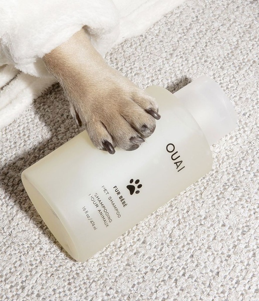 A close-up, high-quality image of a pet shampoo bottle being held by a dog's paw, emphasizing a clean, premium, and caring aesthetic.