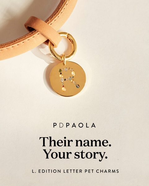 A high-end, close-up product photograph of a gold letter charm on a leather collar, emphasizing personalization and luxury brand aesthetic.
