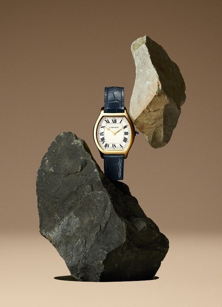 wrist watch, analog watch, leather strap watch, gold watch, luxury watch, brand awareness, minimalist, editorial, calm, luxurious, neutral, brown, gold