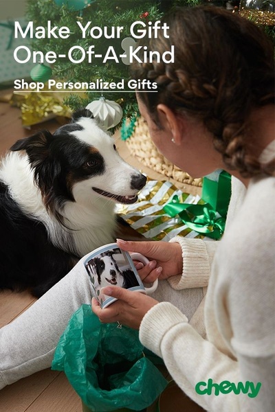 A high-quality lifestyle image showing a person gifting a personalized mug to their pet dog, emphasizing the emotional bond.