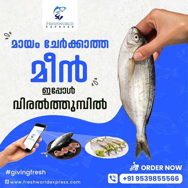A 1:1 format creative demonstrating the convenience of ordering fresh, chemical-free fish directly through a mobile app.