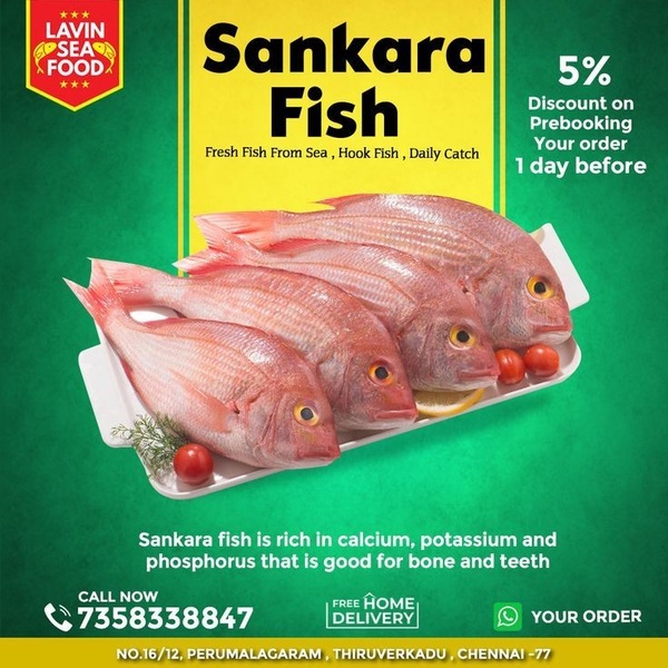 A clean, high-resolution advertisement for fresh Sankara fish, featuring product benefits, a clear call to action, and a prebooking discount offer.