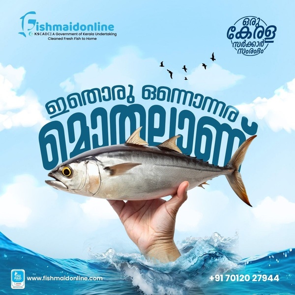 A 1:1 format ad featuring a hand holding a fresh fish above water with a clear brand logo and blue-themed background.