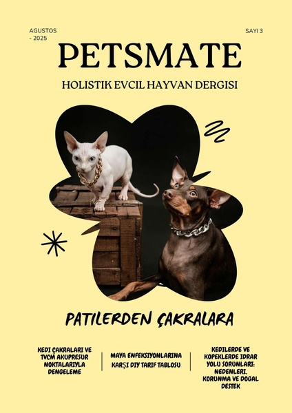 Petsmate Magazine Holistic Cover