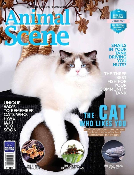 An editorial-style magazine cover featuring a Ragdoll cat as the primary visual, surrounded by topical pet-related headlines and secondary creature thumbnails.