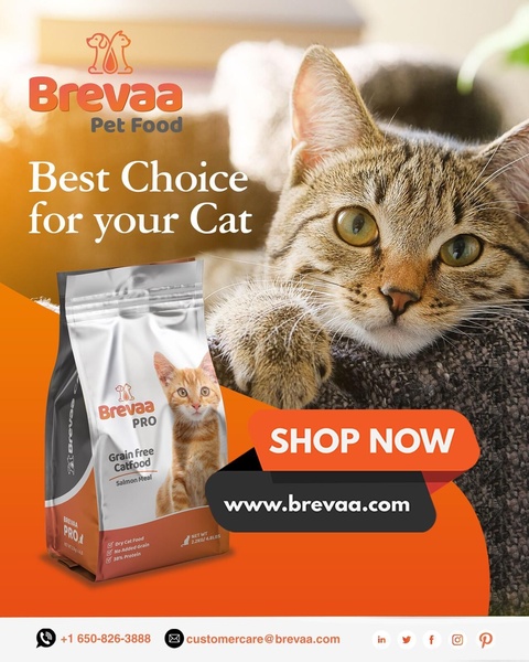 A 4:5 vertical ad featuring a cat close-up paired with clear product labeling and a high-contrast call-to-action button.
