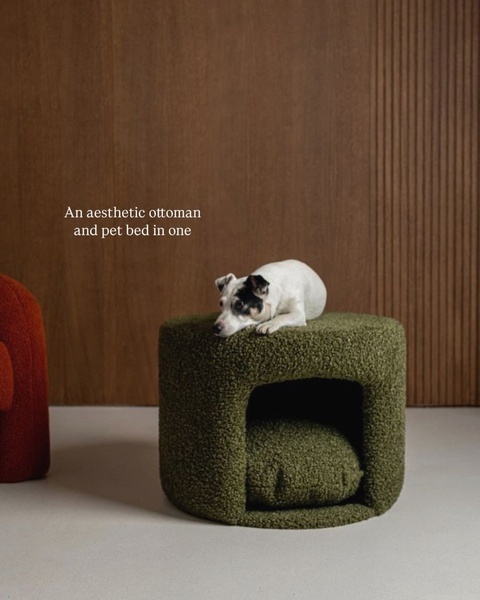 A minimalist, high-end lifestyle shot featuring an ottoman that doubles as a cozy enclosed pet bed for small dogs.