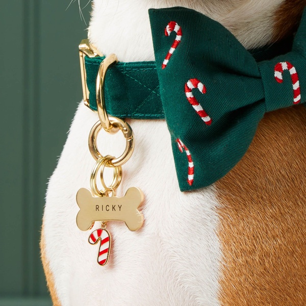 A detailed 1:1 macro shot of a green collar with candy cane patterns and a personalized dog bone name tag.