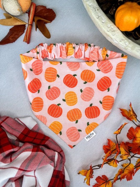 A high-angle flat lay featuring a pumpkin-patterned pet bandana surrounded by seasonal fall elements like plaid fabric and autumn leaves.