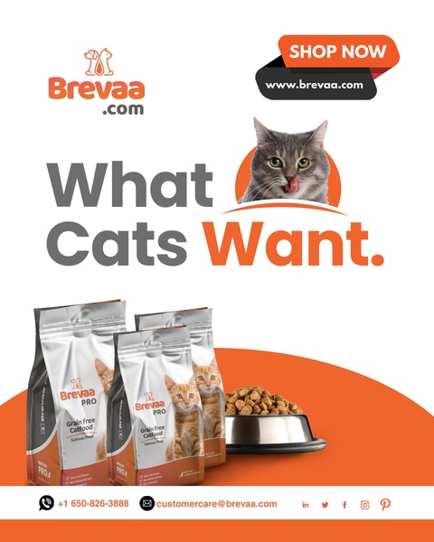 This creative showcases multiple bags of Brevaa grain-free cat food alongside a bowl of kibble and an expressive cat image to drive consumer desire.