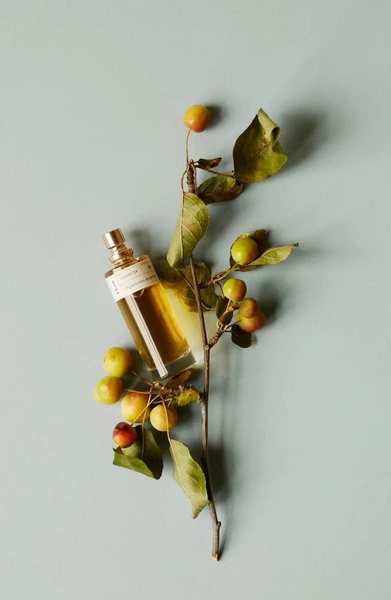 A refined product shot featuring an organic eau de parfum bottle resting against a seasonal branch with fruit on a soft, muted background.