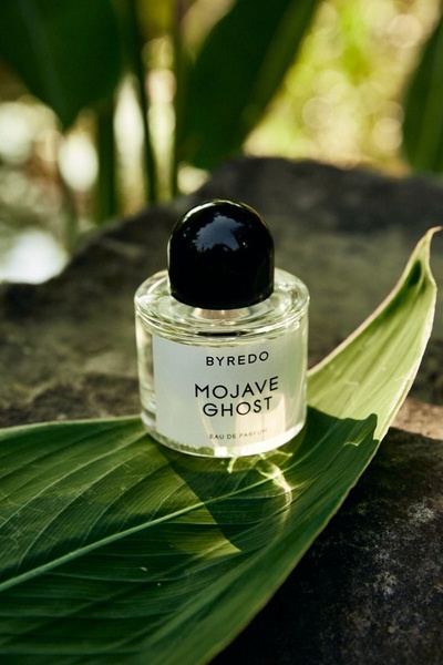 A high-end perfume bottle resting on a large, vibrant green leaf against a natural stone background, utilizing soft outdoor light.