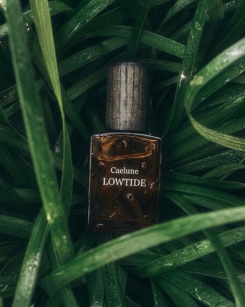 A close-up product shot of a Cologne bottle nestled within dense, dew-covered green grass.