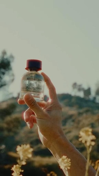 A close-up of a perfume bottle held against a sunlit, out-of-focus natural landscape during the golden hour to evoke warmth and elegance.
