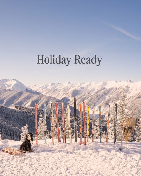 A clean, high-contrast mountain landscape features a row of colorful skis standing in the snow next to a dog, creating a professional seasonal vibe.
