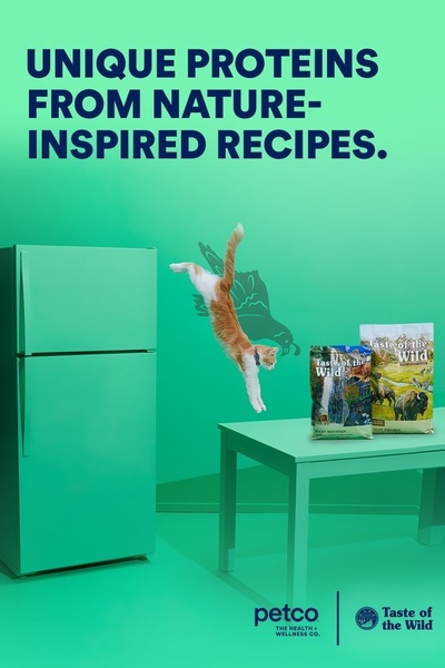 A high-contrast advertisement featuring a leaping cat against a solid green background with bags of cat food positioned as the destination.