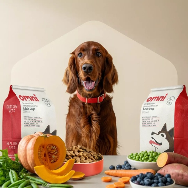 A high-quality 1:1 image featuring a dog sitting behind its branded food packaging, surrounded by fresh, raw ingredients like pumpkin and blueberries.