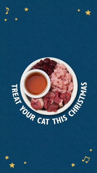 A high-quality top-down shot displaying raw pet food ingredients including meat, organs, and broth, centered on a deep blue background with holiday-themed star accents.