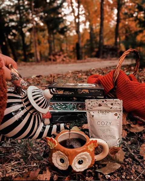 A high-quality lifestyle shot featuring a tea product poured into a decorative owl mug, surrounded by books and fall leaves to create a cozy seasonal atmosphere.