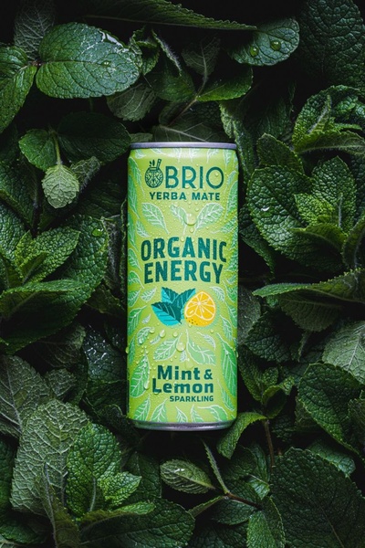 A high-quality product shot of a canned energy drink surrounded by fresh, dew-covered mint leaves, highlighting natural and organic ingredients.