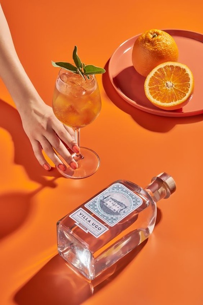 A high-contrast, professional product shot of botanical gin alongside fresh oranges, utilizing a bold orange background to pop the product.