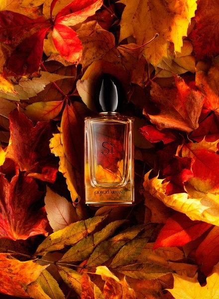A high-end, top-down product shot of a perfume bottle nestled within a bed of vibrant, multi-colored autumn leaves.