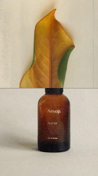 A split-frame composition featuring a single dried leaf transitioning into a textured amber perfume bottle against a neutral background.