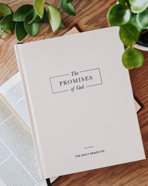 A high-quality, top-down shot of a hardcover book titled 'The Promises of God' placed on a wooden surface with a lush green plant.