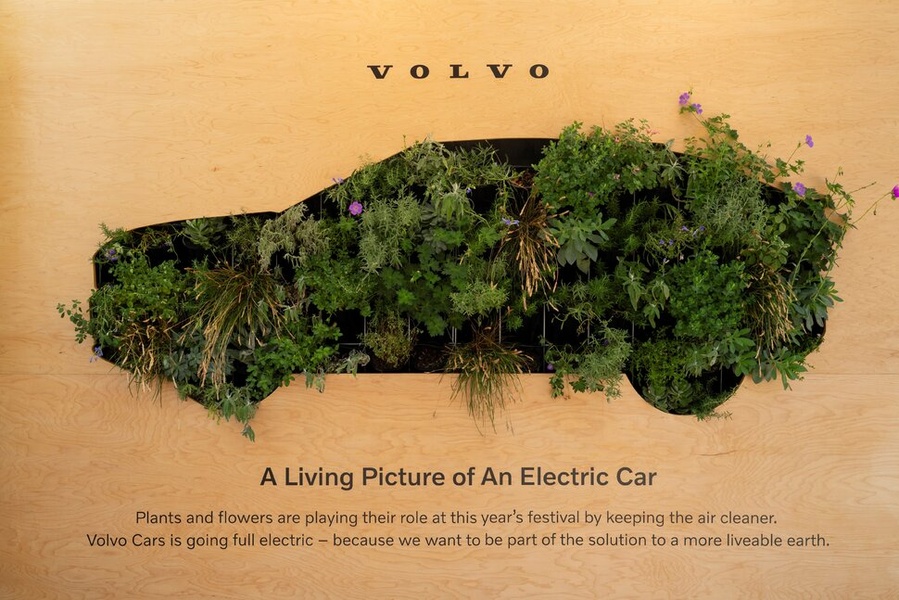 A minimalist, high-impact image of a car silhouette filled with lush, living plants and flowers mounted on a light wood wall, symbolizing a clean, eco-friendly future.