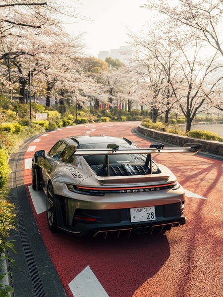 A high-performance sports car parked on a scenic road framed by blooming cherry blossom trees at sunset.